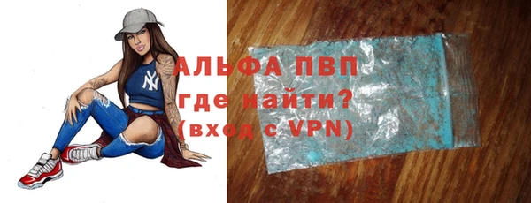 прущие грибы Ладушкин