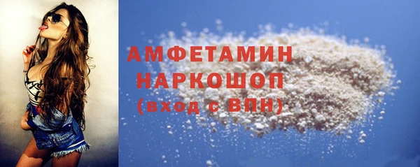 прущие грибы Ладушкин