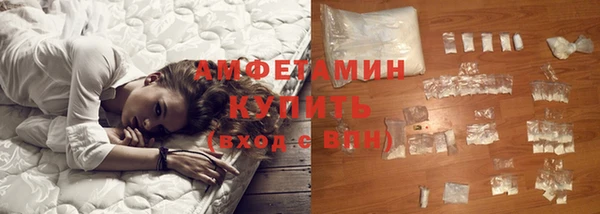 прущие грибы Ладушкин