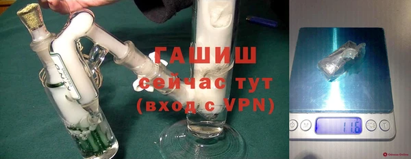 прущие грибы Ладушкин