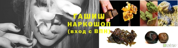 прущие грибы Ладушкин