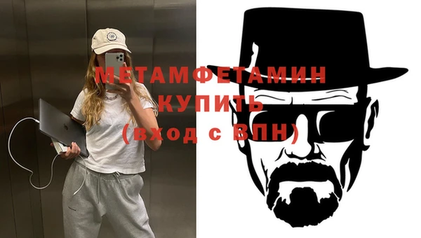 прущие грибы Ладушкин