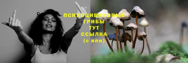 бошки Лабытнанги