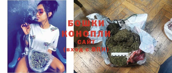 ПСИЛОЦИБИНОВЫЕ ГРИБЫ Лагань