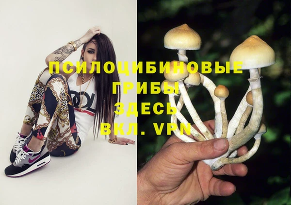прущие грибы Ладушкин