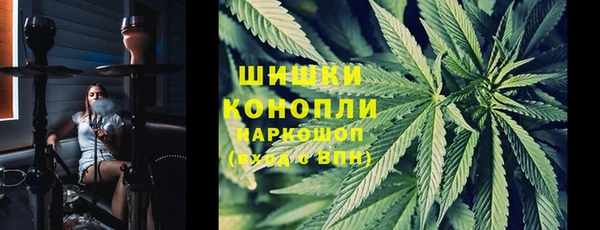 бошки Лабытнанги