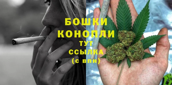 ПСИЛОЦИБИНОВЫЕ ГРИБЫ Лагань