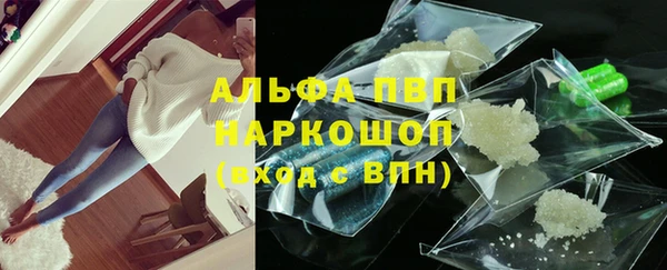 прущие грибы Ладушкин