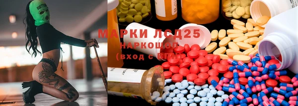 ПСИЛОЦИБИНОВЫЕ ГРИБЫ Лагань