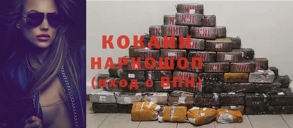 прущие грибы Ладушкин