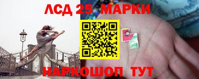 spice Гатчина