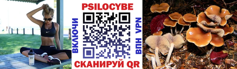 Псилоцибиновые грибы мухоморы Карачаевск
