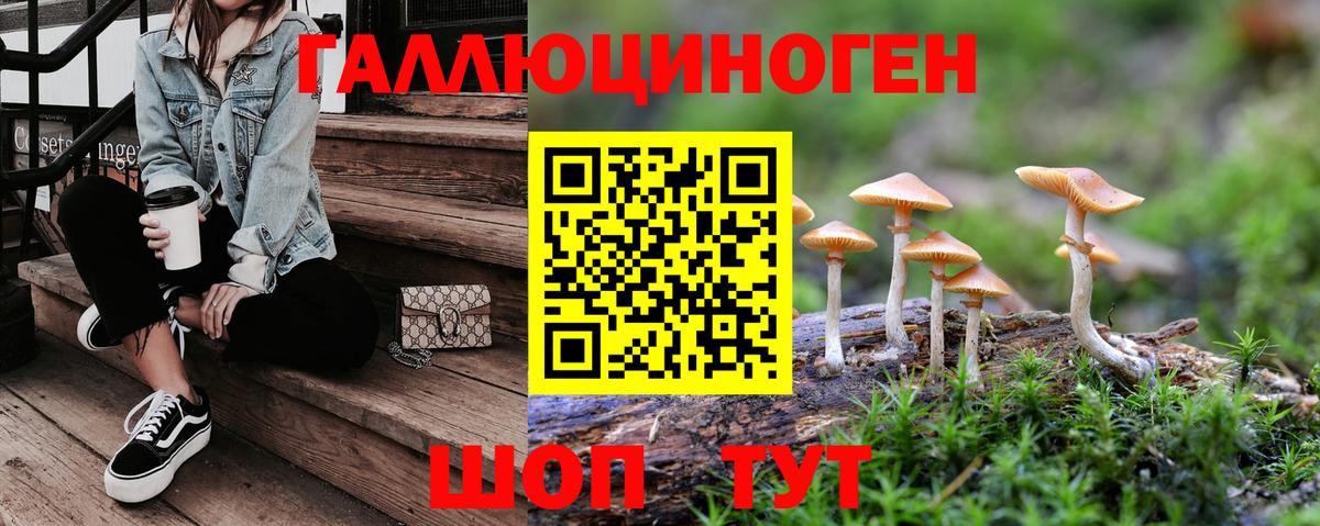 Карачаевск  Псилоцибиновые грибы Magic Shrooms  купить наркотик  Вход с VPN 